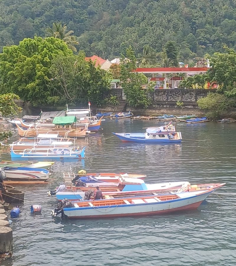 WhatsApp Image 2025-09-27 at 13.29.24 (1)